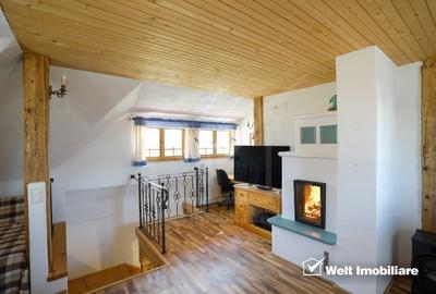 Casa rustica, exclusivista, 5 camere, 170 mp utili, 550 mp teren, Salicea - 9