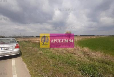 Teren Intravilan cu front stradal la un Drum Principal la... - 7