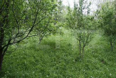 Teren în Central - 3