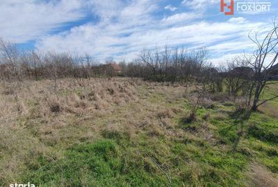 Teren de 2840 mp, în Jebel - 5