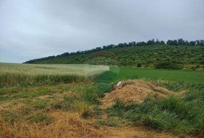 Teren extravilan 18200 mp Reghin