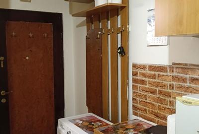 Garsonieră semidecomandată în Dosu Bricii - 1