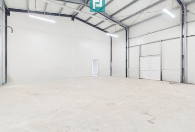 Spațiu industrial, de 550 mp, în Giarmata - 2