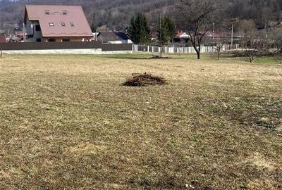 Teren de vanzare pentru constructii Slanic Moldova - 9
