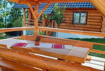 Hotel/Pensiune, de 240 mp, în Costești (Albac) - 29