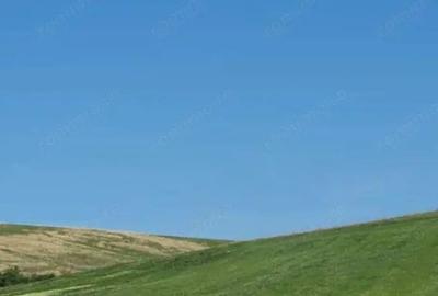 Cota de 1/2 din teren extravilan, comuna Rogova, Jud Mehedinti - 3