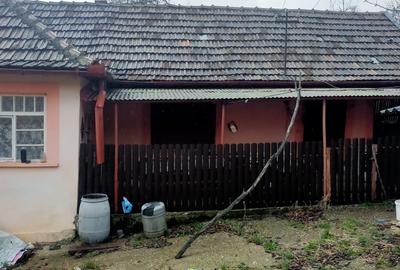 Casă cu 3 camere cu Teren 2672 Mp în Ineu - 10