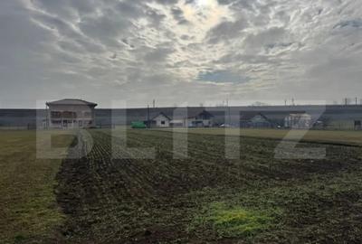 Teren în Vințu de Jos