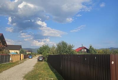Teren de 700 mp, în Cărpiniș