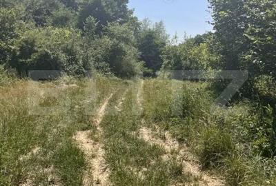Teren de 2900 mp, în Central