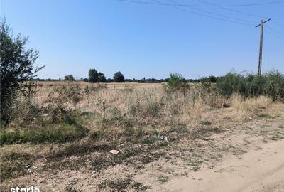 Teren de 1600 mp, în Cornetu