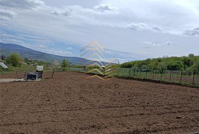 Teren de 1000 mp, în Budacu de Jos - 3
