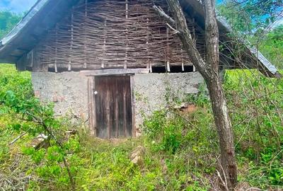 Casă cu 3 camere cu Teren 3000 Mp în Hurezu Mare