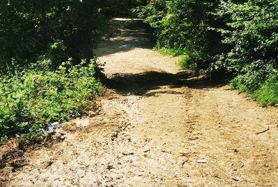 Teren de 900 mp, în Văliug - 10