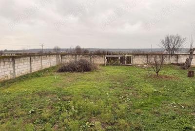 Casă cu Teren 750 Mp în Postârnacu - 8