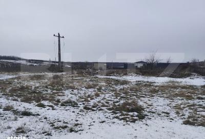 Spațiu comercial, în Dumbrava
