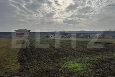 Teren de 1597 mp, în Vințu de Jos - 2