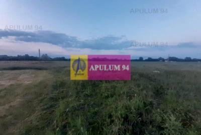 Teren Construcții intravilan de 3820 mp, în 1 Decembrie - 11