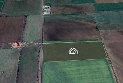 Teren intravilan 90.000 mp cu PUZ aprobat pentru cartier rezidențial – Slobozia, - 4