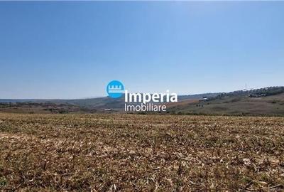 Teren de vanzare in Iasi, zona Breazu Teren de vanzare in Iasi, zona Breazu - 6