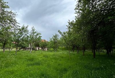 Spațiu comercial, în Stănești - 15
