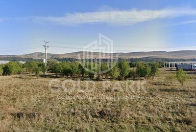 Teren Intravilan- Floresti- 3.187 mp - PUZ Aprobat - 4