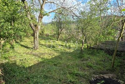 Casă cu Teren 540 Mp în Muncitoresc - 3