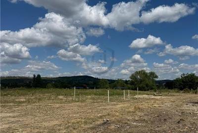 Teren intravilan 5295 mp, Oradea, Tineretului - 1