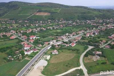 Vand Casa cu 2151 m2 in Paulis - 1