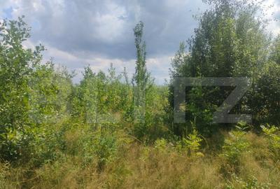 Teren intravilan, 5857 mp, Baltati, Horodnicu de Sus - 8