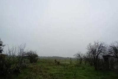 Casă cu 3 camere cu Teren 1700 Mp în Vitănești - 6