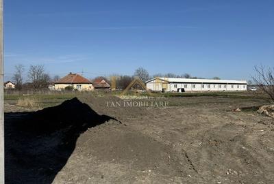 Teren de 500 mp, în Sânmihaiu Român - 3
