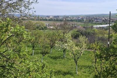 Casă cu 3 camere în Central - 1