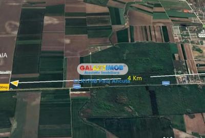 Teren în Petrăchioaia - 4