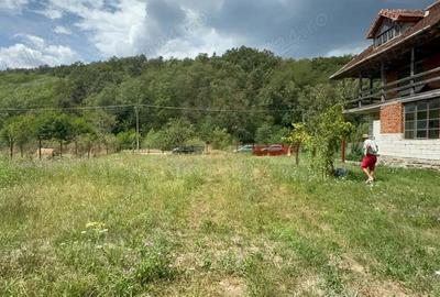 Casa de vacanta pt iubitorii de natura! - 4