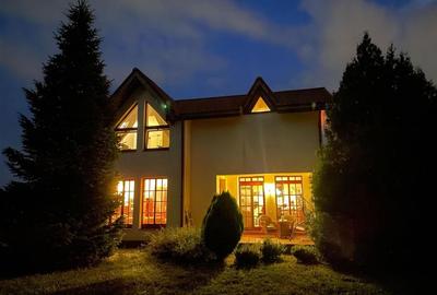 Vand vila deosebita in Dumbravita -Timisoara - 8