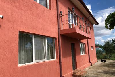Vila in Bulbucata, Giurgiu, sat Teisori - 7