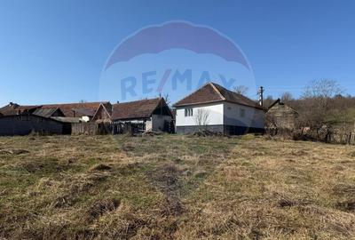 Casă individuală cu 2 camere cu Teren 2002 Mp în Dumbrăvița - 10