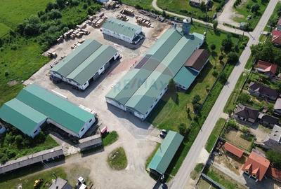 Hale de vanzare-ideale pentru depozit sau productie - 16