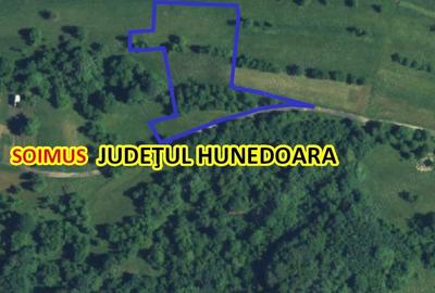 Teren de 4780 mp, în Fornădia - 3