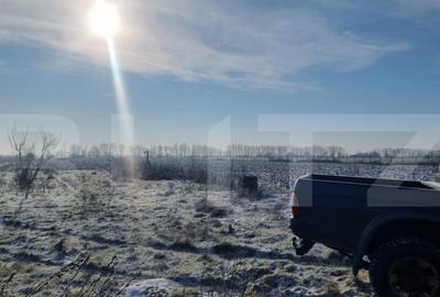 Teren de 50000 mp, în Ciorani - 9