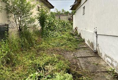 Teren de 1000 mp, în Provița de Jos - 7