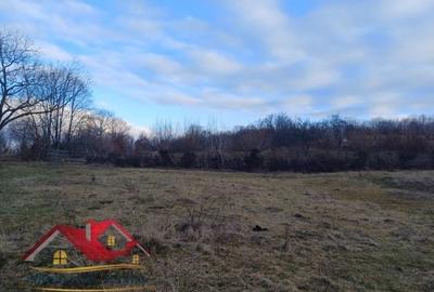 Teren Construcții intravilan de 3000 mp, în Vest - 1