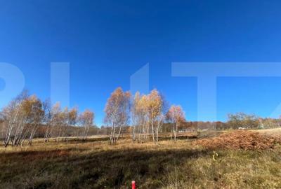 Teren de 1569 mp, în Făget