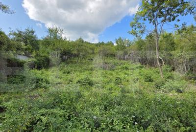 Teren intravilan Viisoara cu panorama asupra orasului- parce - 3