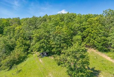 Padure de vanzare oportunitate de investi?ie - 11