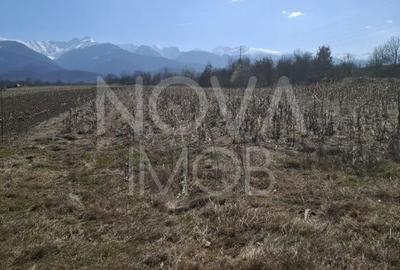 Teren de 2100 mp, în Poplaca - 3