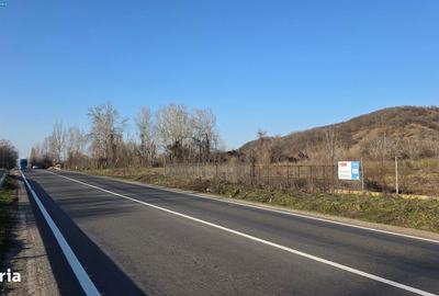 Teren de 6000 mp, în Hinova - 2