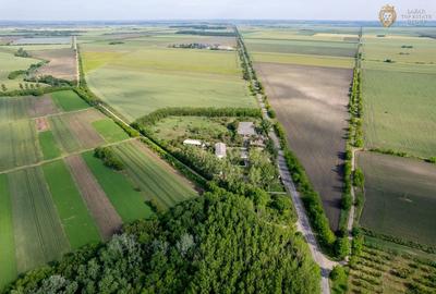 Cladire industriala de vanzare cu potential 3,5 ha in Batania - 36