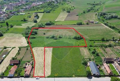 Teren de vanzare Blajel, jud. Sibiu | 15.360 mp - p... - 3